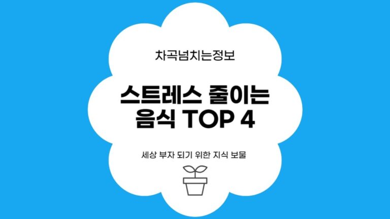 스트레스 해소에 좋은 간단한 음식 추천 TOP 5