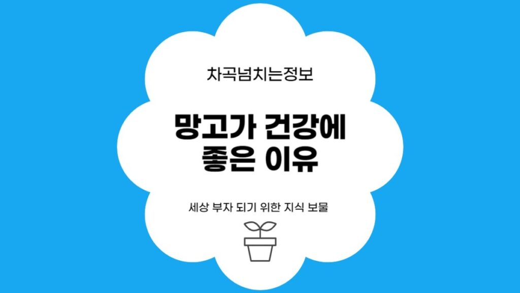 망고
