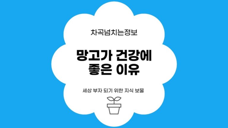 망고를 먹으면 건강에 최고