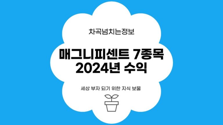 매그니피센트 7종목의 2024년 수익 기대