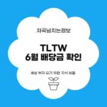 TLTW 6월 배당금 확인 및 재투자 전략