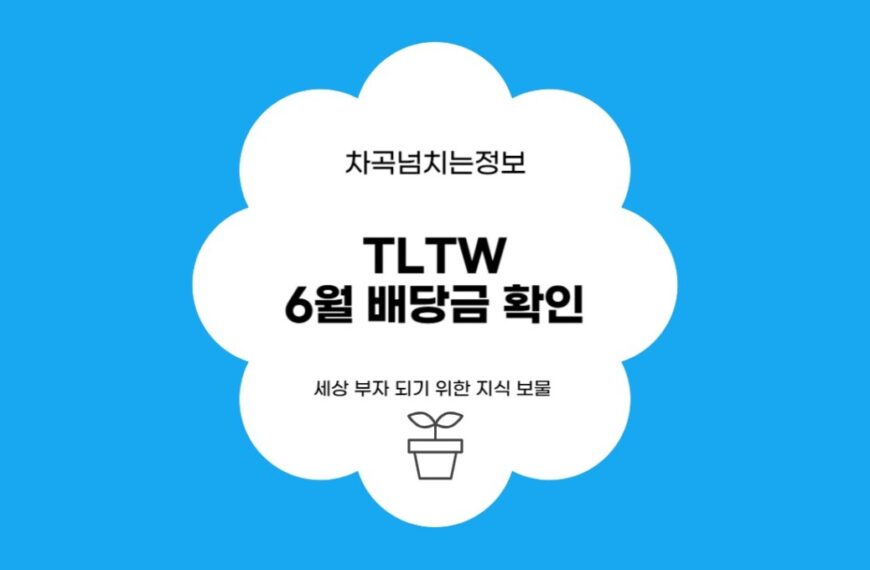 TLTW 6월 배당금 확인 및 재투자 전략