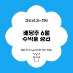배당주 ETF 수익률 정리