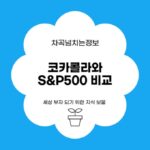 코카콜라와 S&P500 비교