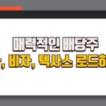 META, Visa, Texas Roadhouse 배당금 주는 알짜배기 기업 분석!