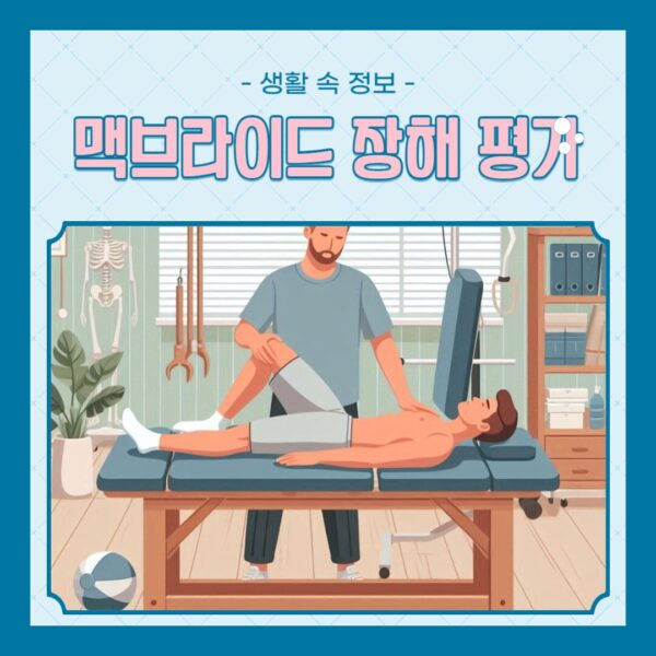 맥브라이드 장해평가 사용 방법 정리, 노동능력상실률 100% 정리