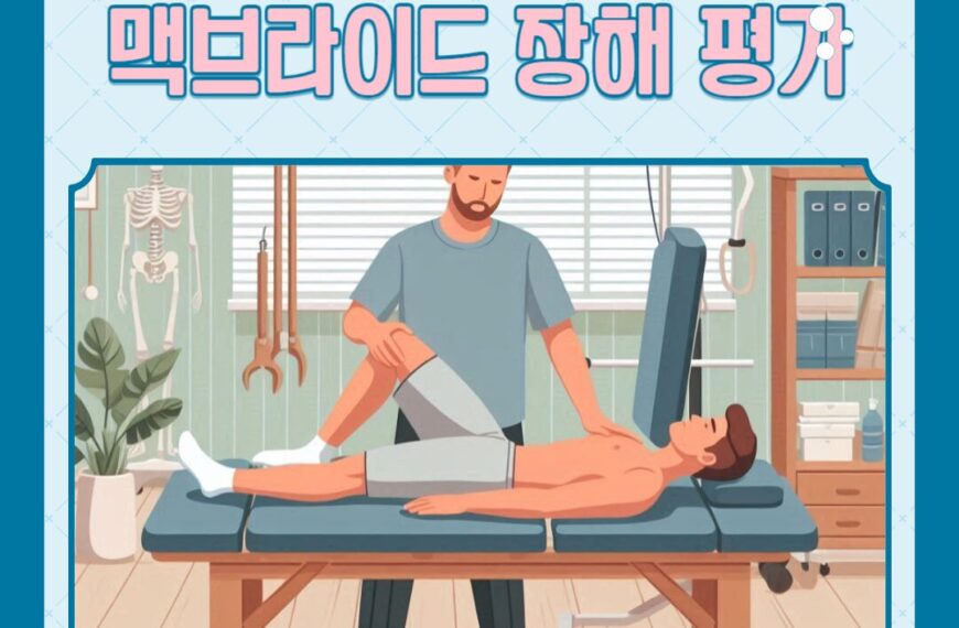 맥브라이드 장해평가 사용 방법 정리, 노동능력상실률 100% 정리