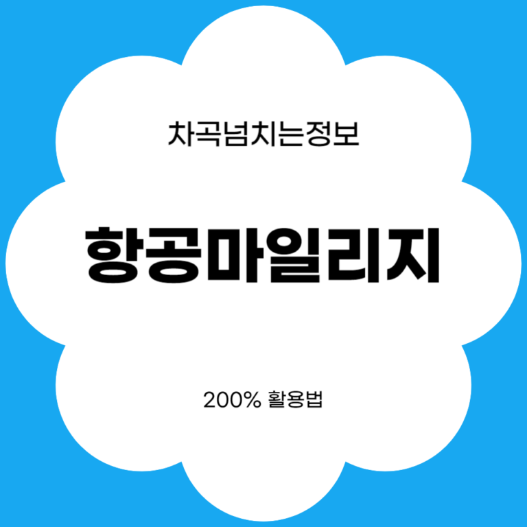 항공마일리지