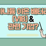 바나듐 이온 배터리(VIB)란? ESS 시장의 새로운 표준과 관련 기업 정보