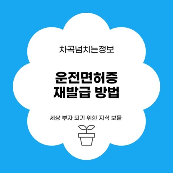 운전면허증 재발급 방법, 온라인, 경찰서, 운전면허시험장 3곳 중 최고는?