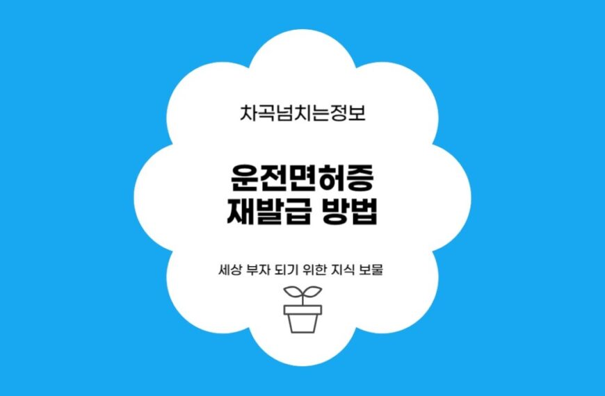 운전면허증 재발급 방법, 온라인, 경찰서, 운전면허시험장 3곳 중 최고는?