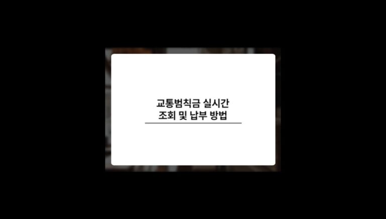 교통범칙금 실시간 조회 및 납부 교통민원24 이용!