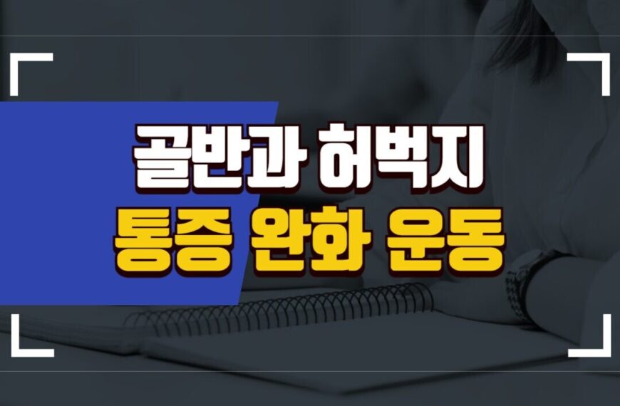 골반, 허벅지 통증 완화 방법 (폼롤러, 스트레칭 방법)