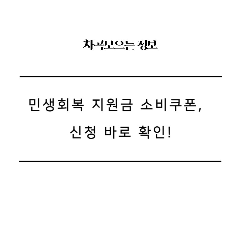 민생회복 지원금 소비쿠폰,신청 바로 확인!