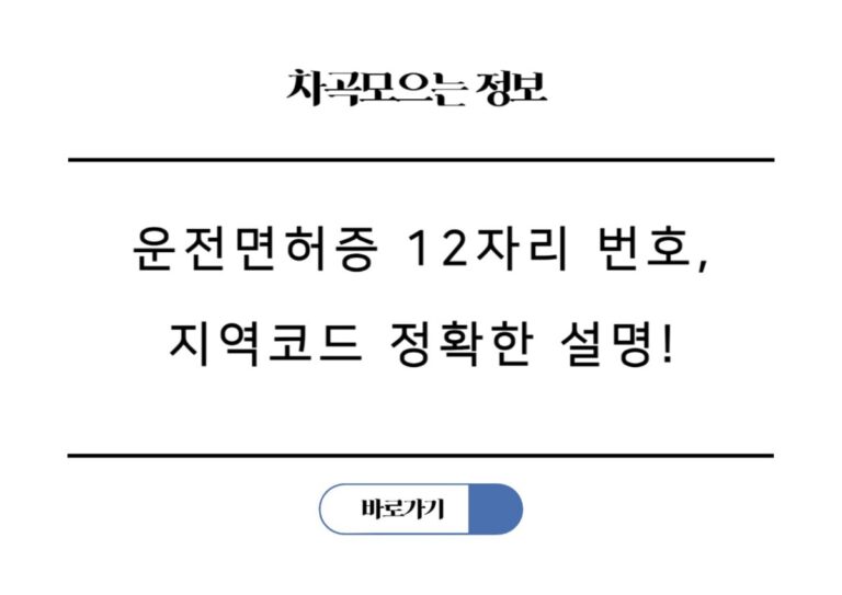 운전면허증 12자리 번호, 서울 경기 부산 등 지역코드 정확한 설명!