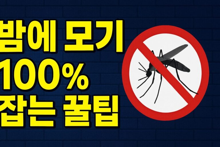 밤에 모기 100% 잡는 꿀팁, 물렸을 때 가려움증 즉시 없애는 응급처치 방법