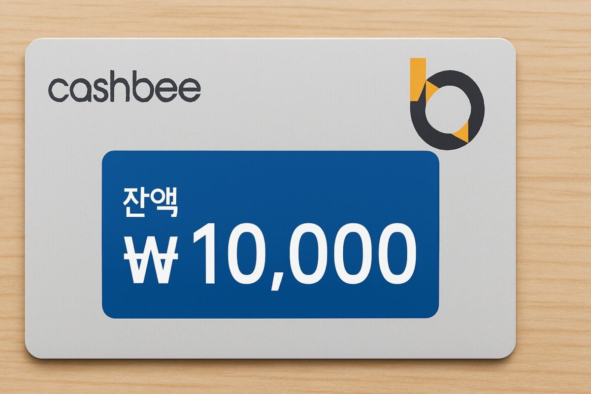 캐시비 카드! 실시간 잔액 자동 충전 사용처 한 번에 해결