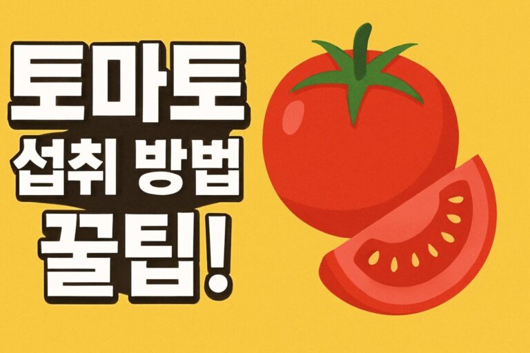 토마토 효능, 부작용 최소화 섭취 방법 5가지 신선도 확인 꿀팁 총정리