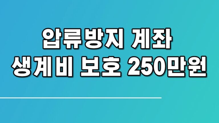 압류방지 계좌 생계비 보호 250만원