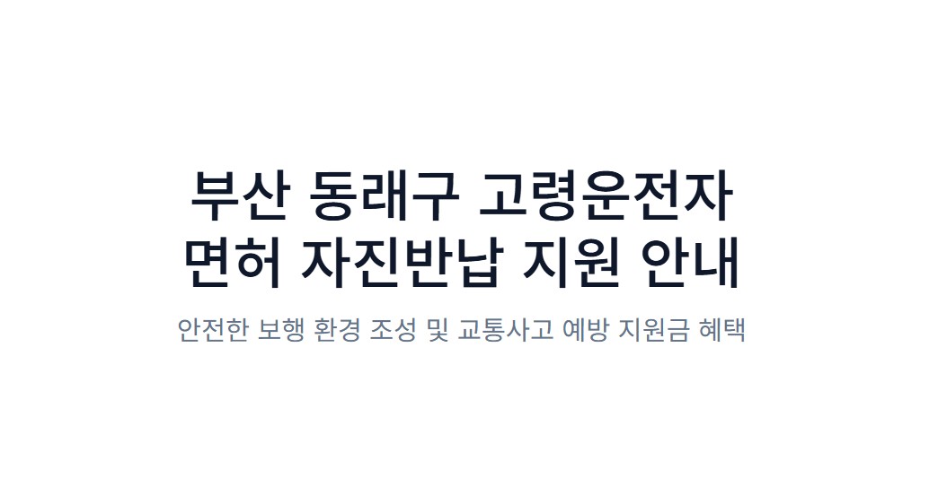 부산 동래구 고령운전자 운전면허 반납하고 20만원 받으세요! 신청 기간·장소·꿀팁