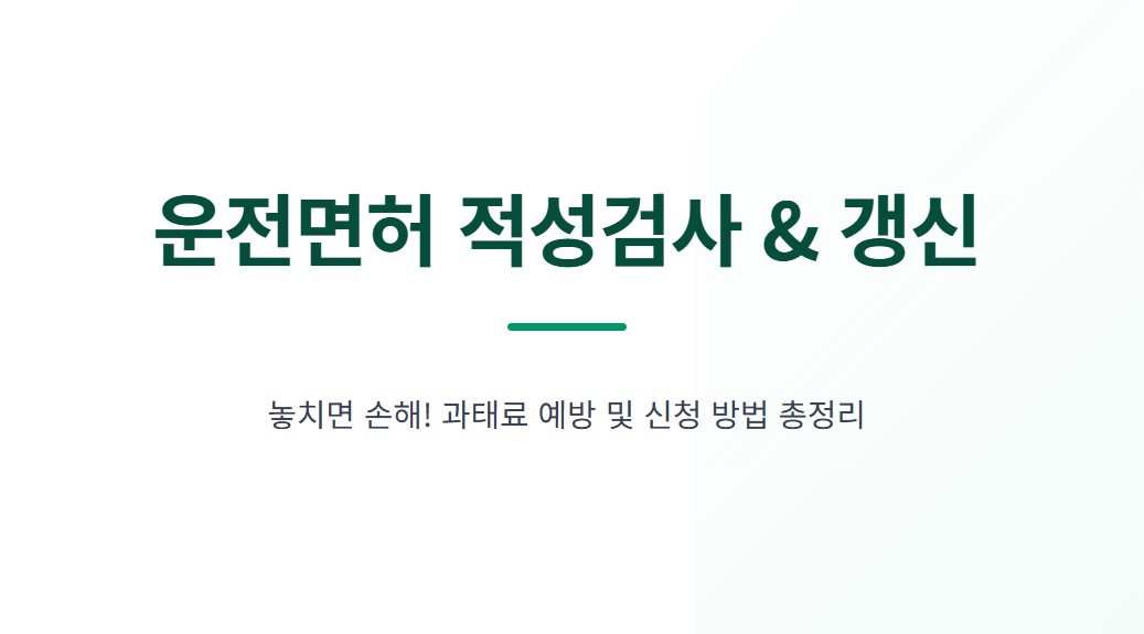 운전면허 적성검사 기간 놓치면 과태료·준비물·신청 방법 완벽 정리