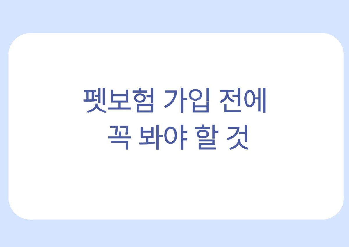 펫보험 가입 전에 꼭 봐야 할 것